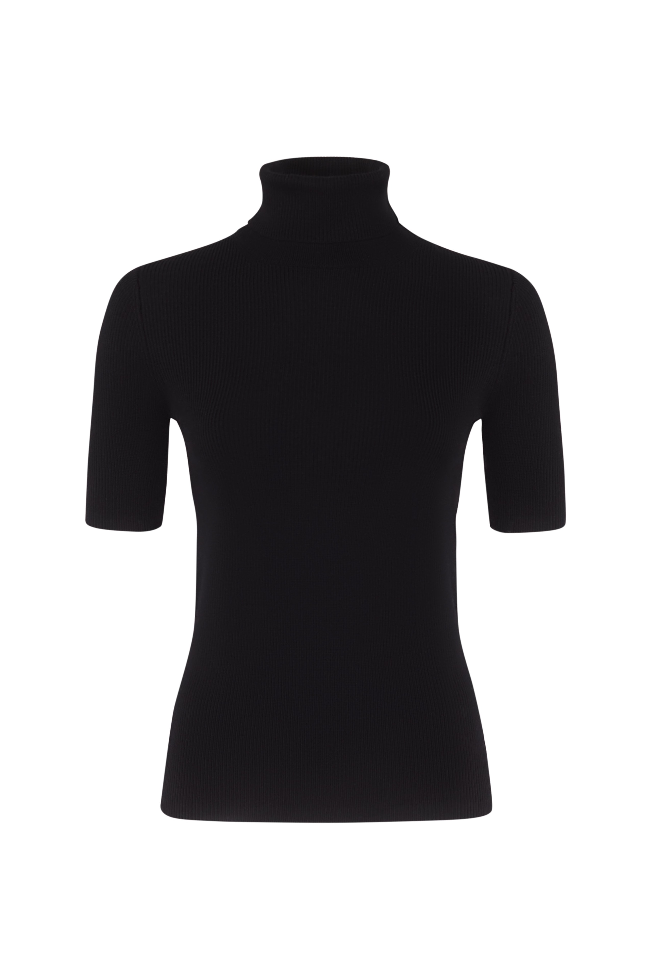 Fitted sweater with a turtleneck, Black