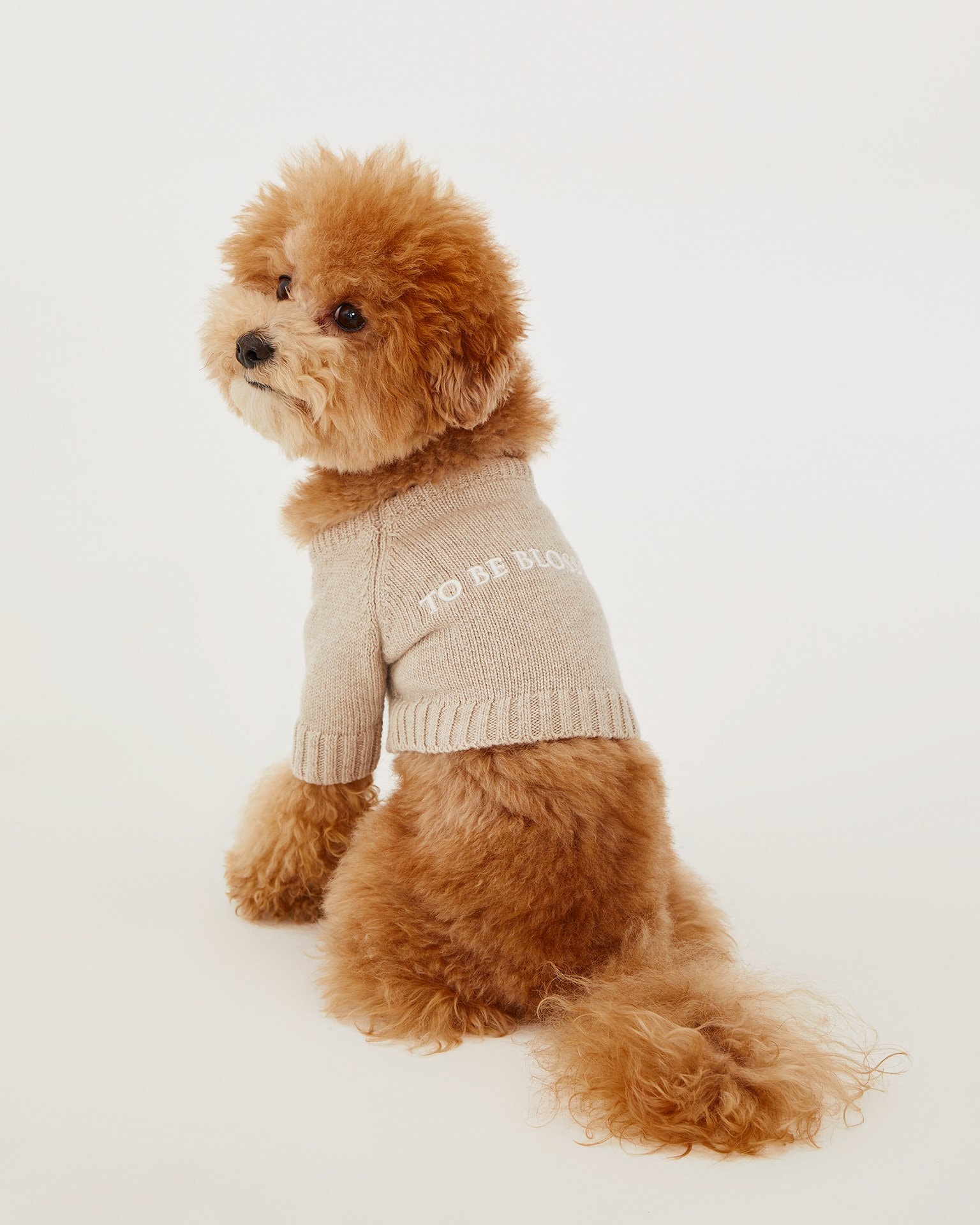 Dog jumper, Beige — photo 3