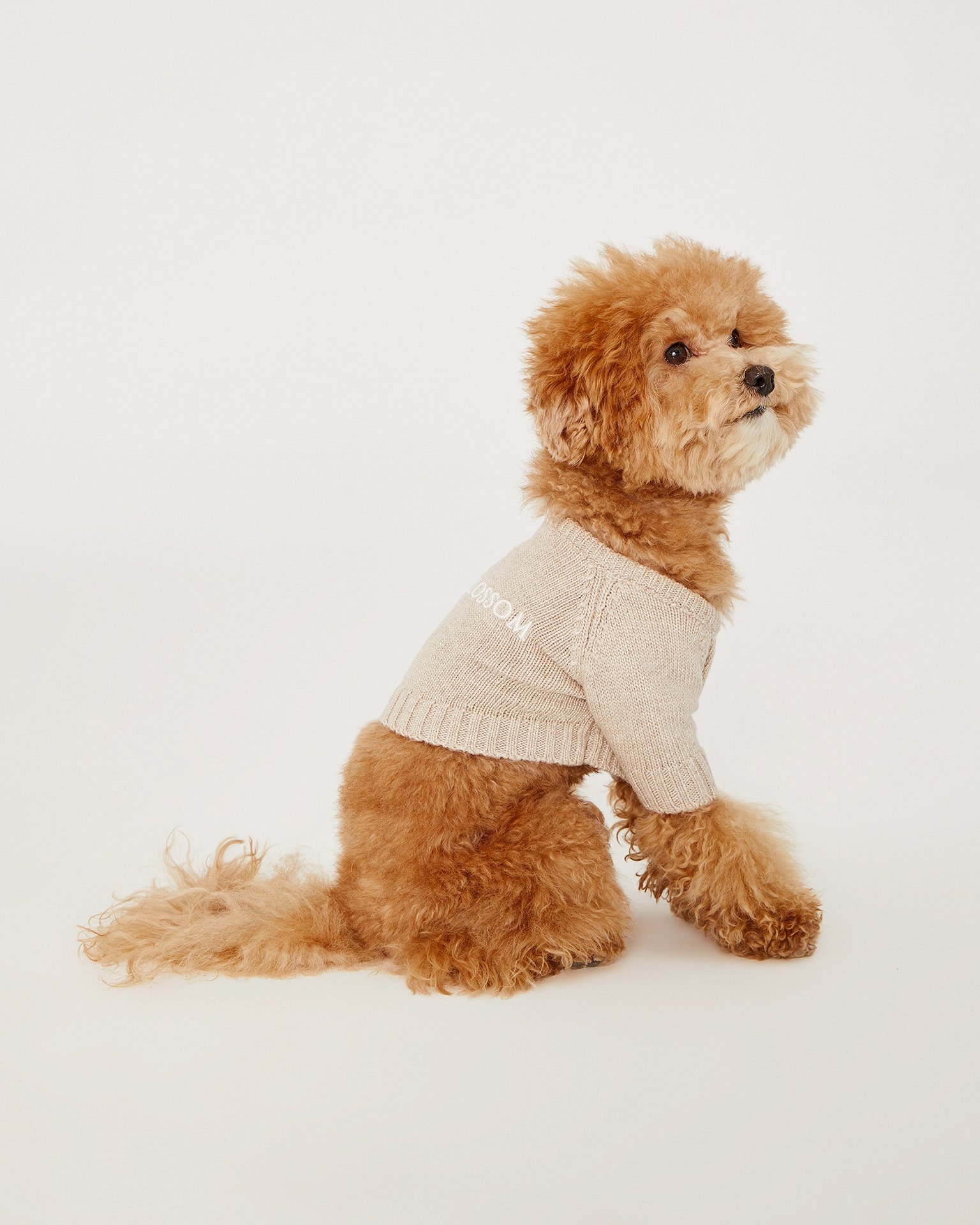 Dog jumper, Beige — photo 2
