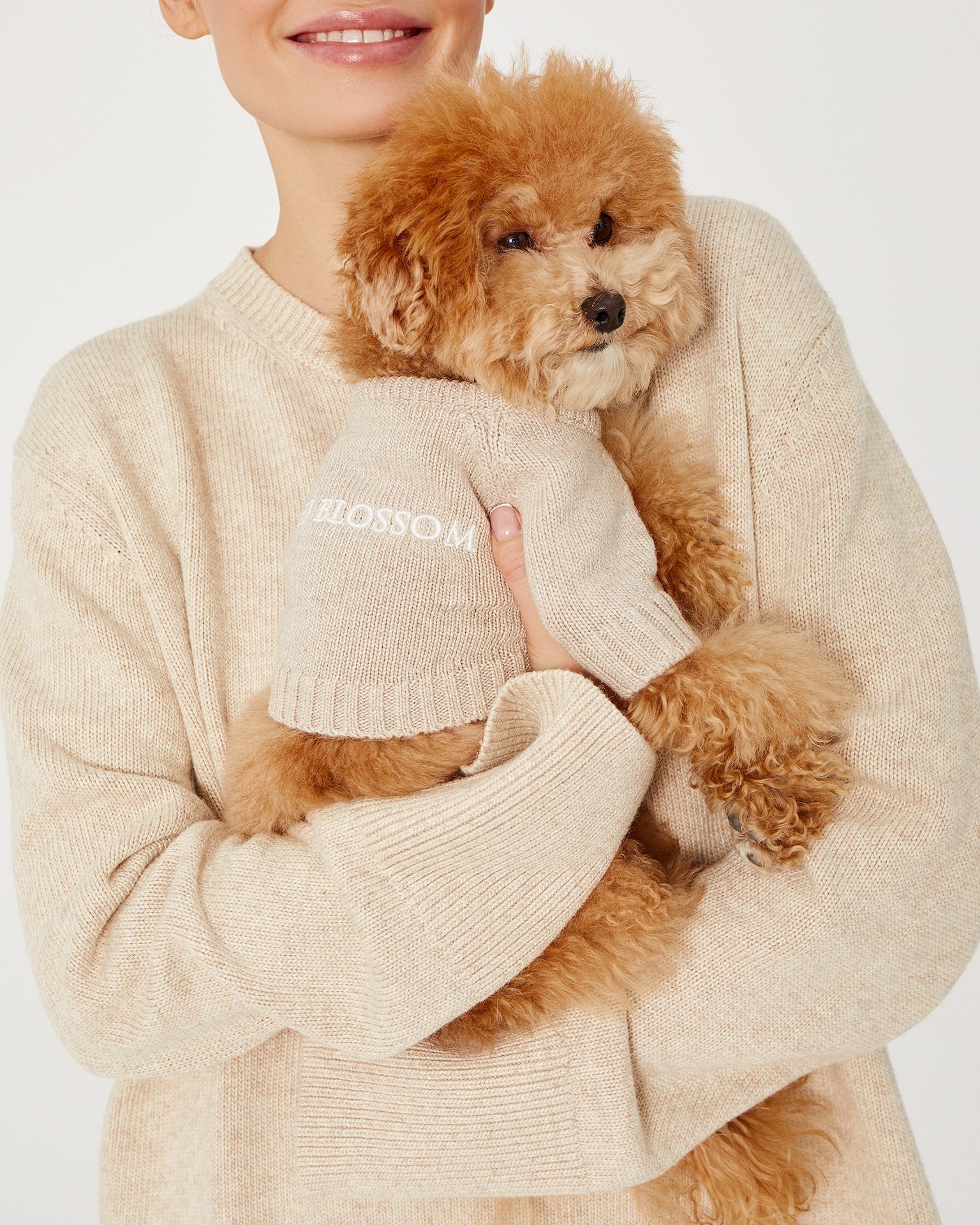 Dog jumper, Beige